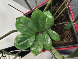 Glücksfeder Raum Kasendorf