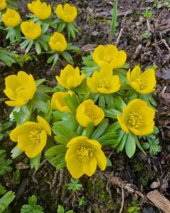 Winterling Raum Kasendorf