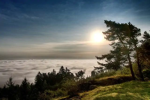 Blick vom Görauer Anger auf Morgennebel im Maintal