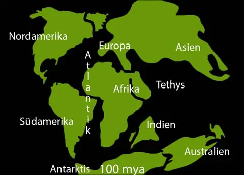 Pangea vor 100 millionen Jahren