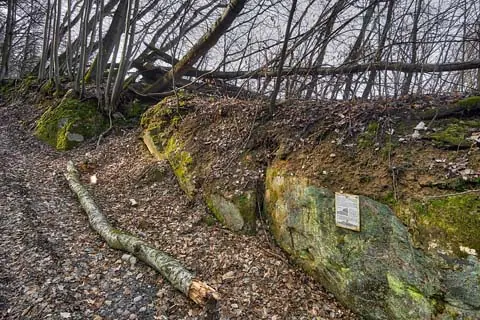 Dogger Gestein am Naturpfad beim Aufstieg zum Prelitz