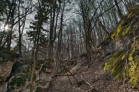 Steinformationen am Fritz-Hornschuch Naturpfad