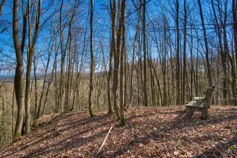 Bank heute im Bereich des ehemaligen Märchenwaldes. Die damalige freie Aussicht auf Kasendorf (man sieht es etwas durch die Bäume) kann man nur erahnen