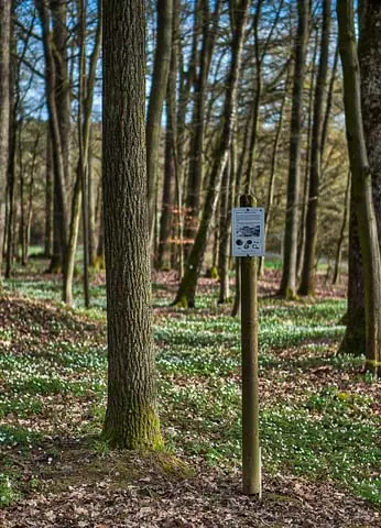 Infotafel im Pfarrwald bei Kasendorf