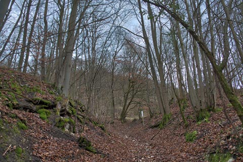 westliches Tor im äußeren Wall