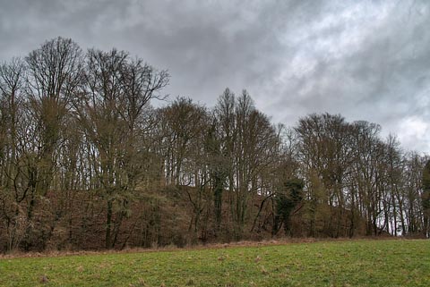 hinterer (östlicher) Teil der Absteilung im Südosten des Plateaus