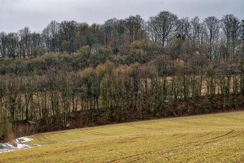 Blick auf den Abschnittswall