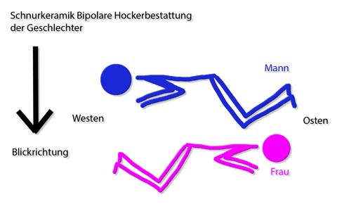 Bipolare Hockerbestattung der Geschlechter zur Schnurkeramik