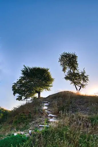 Burgruine Niesten Baum