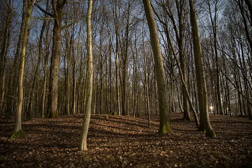 Huegelgraeber Pfarrwald Kasendorf