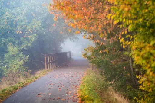 Radweg Herbst