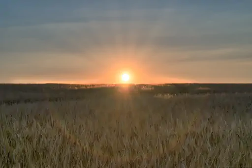 Sonnenuntergang Turmberg
