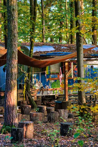Kita Kasendorf Wald