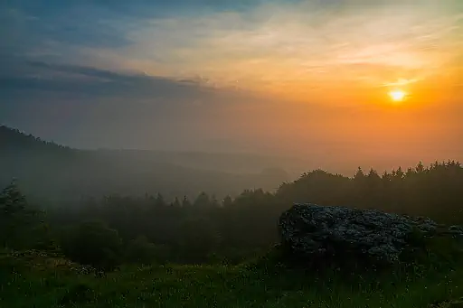 Nebel Sonnenaufgang Goerauer Anger