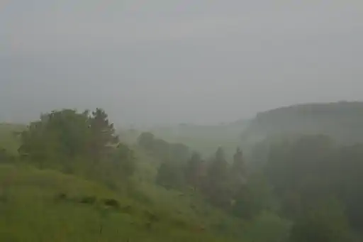 Nebel Am Goerauer Anger