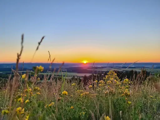 Sonnenaufgang Am Goerauer Anger