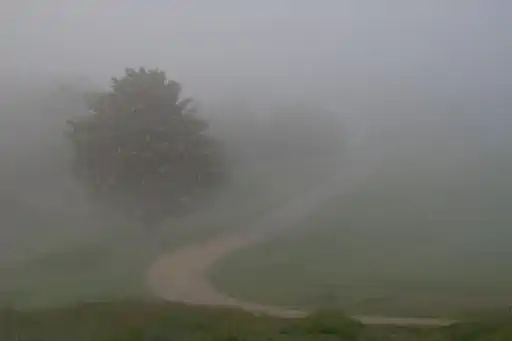 Weg Im Nebel