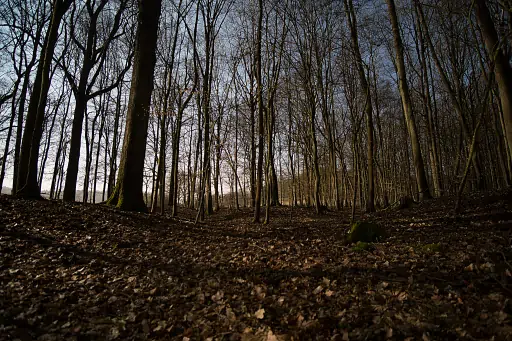 Kasendorf nachts Huegelgraeber pfarrwald Kasendorf