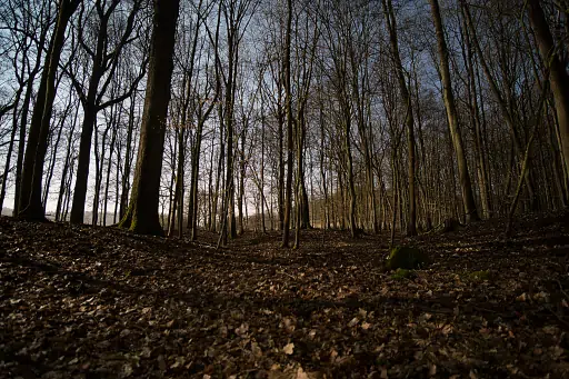 Kasendorf Nachts Huegelgraeber Pfarrwald Kasendorf