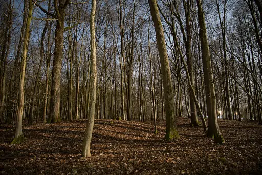 Kasendorf Nachts Huegelgraeber Pfarrwald