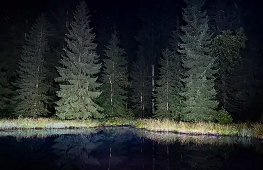 Nachts Am Fichtelsee
