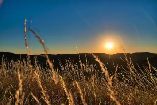 Gras Sonnenuntergang Burgruine Niesten