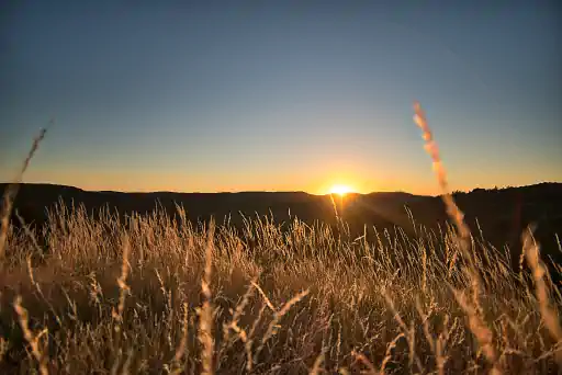 Gras Und Sonnenuntergang Burgruine Niesten