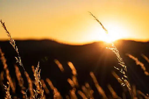 Sonnenuntergang Burgruine Niesten Weismain