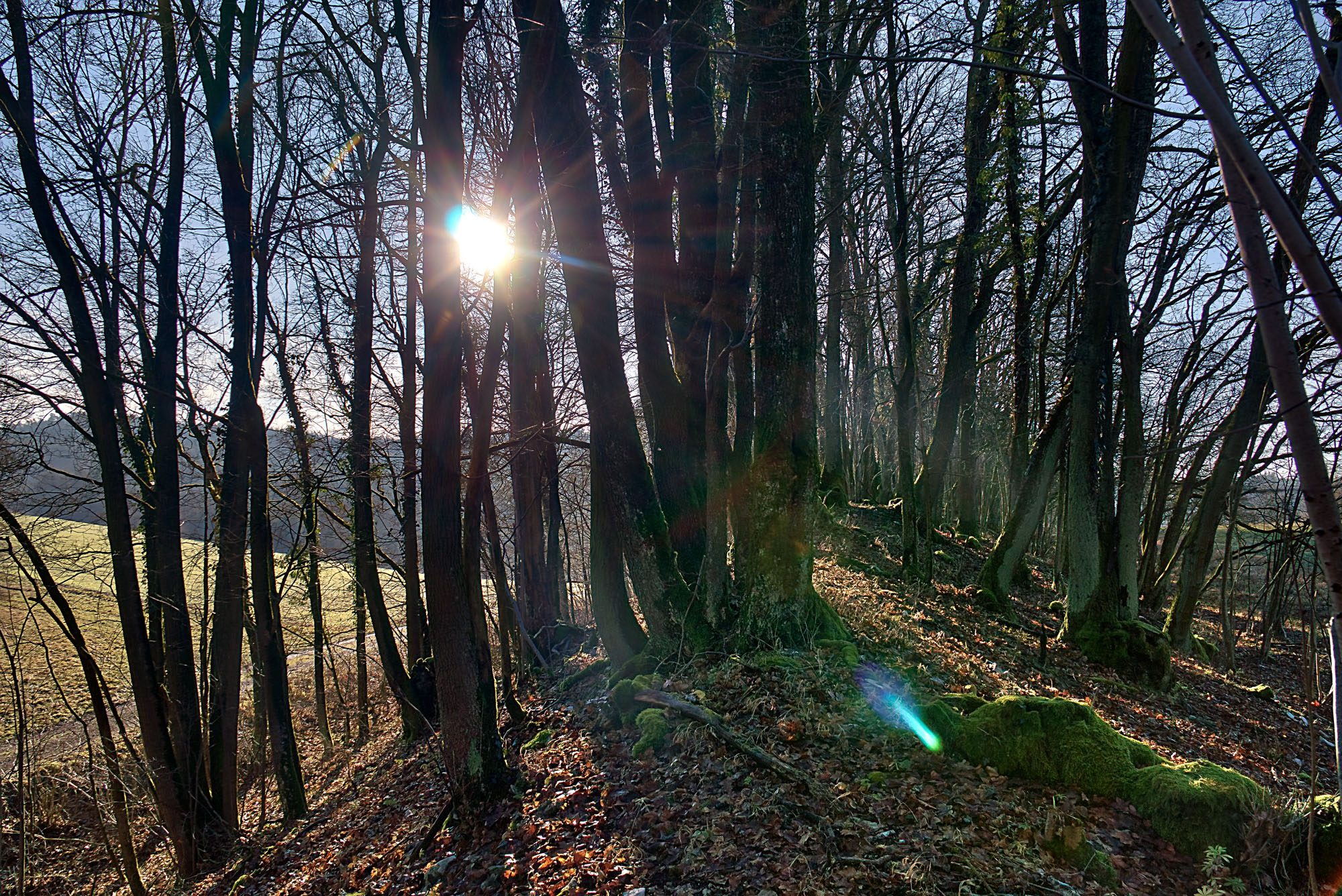 Abschnittswall Turmberg heute