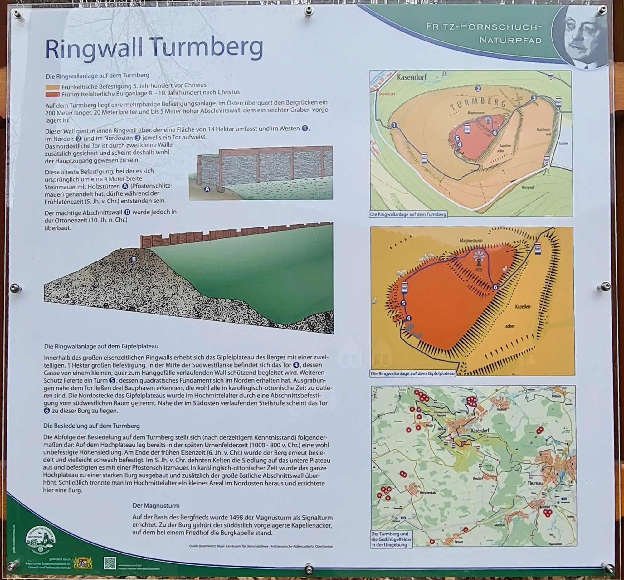 Ringwall Turmberg